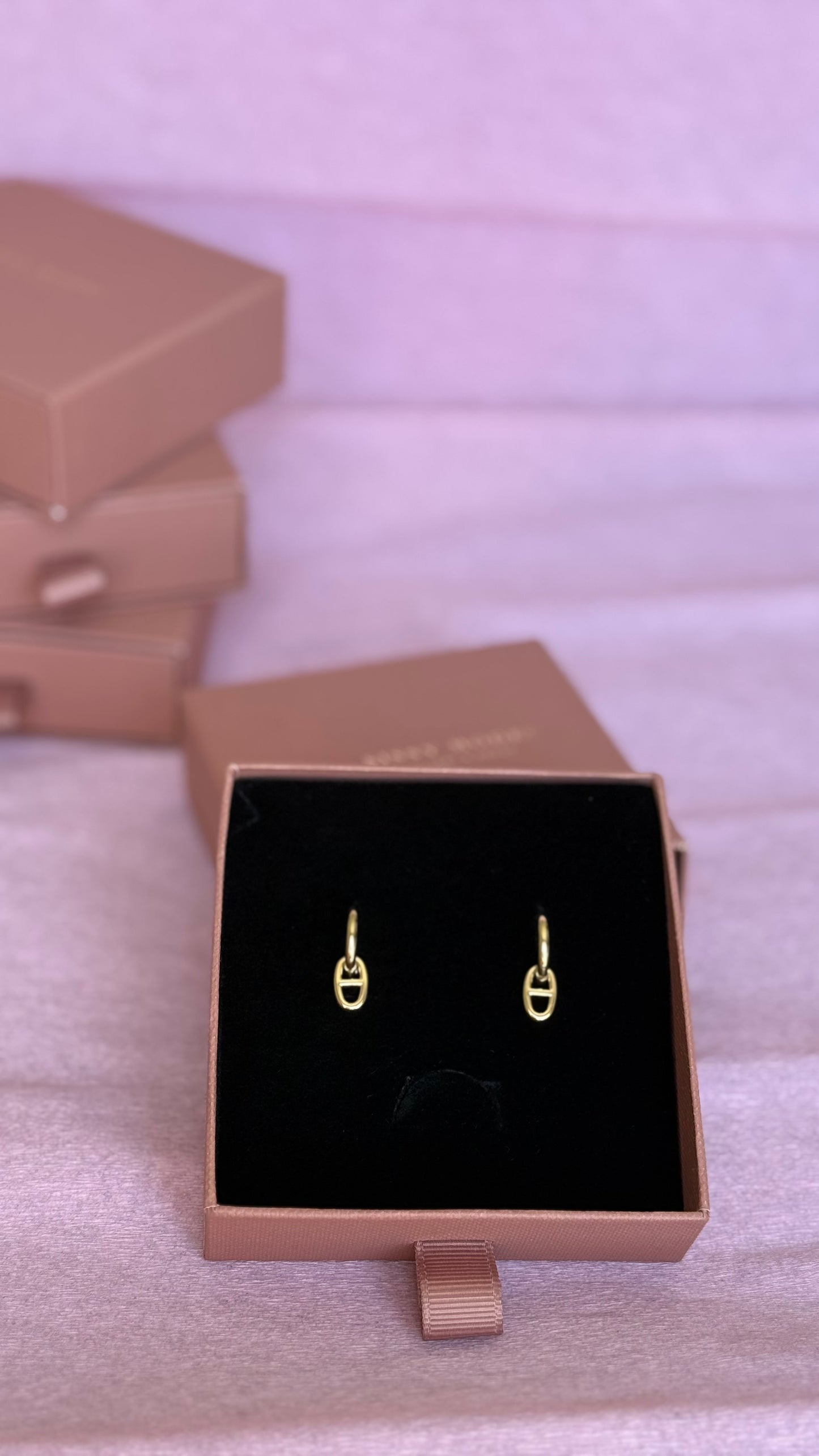 Boucles d’oreilles en acier inoxydable