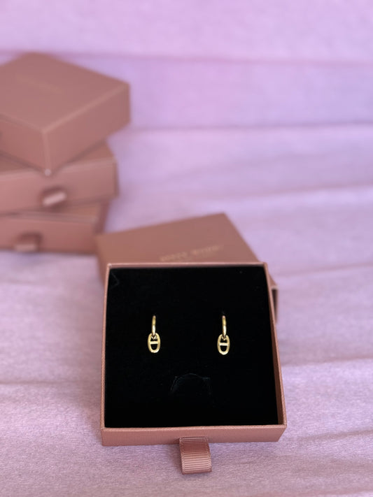 Boucles d’oreilles en acier inoxydable
